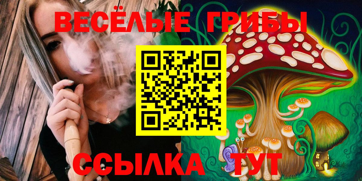 Псилоцибиновые грибы ЛСД  Вход с VPN  Михайловка  Галлюциногенные грибы мухоморы 